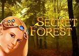 Secret Forest